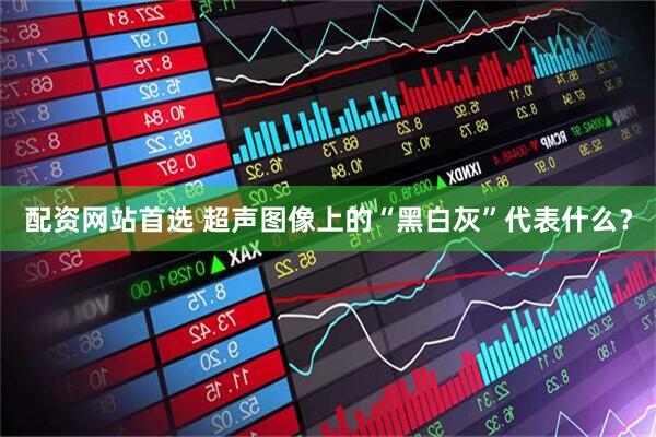 配资网站首选 超声图像上的“黑白灰”代表什么？