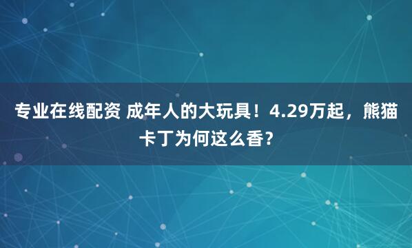 专业在线配资 成年人的大玩具!4.29万起,熊猫卡丁为何这么香?